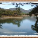 솔방죽 이미지