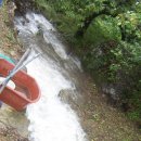 신덕농장 이미지