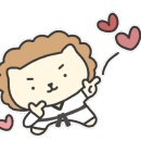 티앤티태권도장 이미지