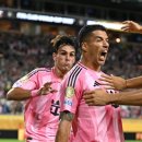 마이애미 이미지