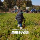 금실(Farm)제2농장 | 제주 당근 체험농장 설아네꾸러미 솔직후기｜5살 아이와 흙투성이가 된 하루