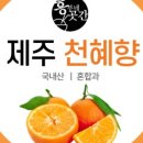 흥부약국 이미지