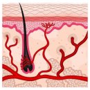 고운의원피부과 이미지