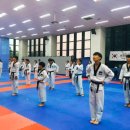 태권도왕호체육관 이미지