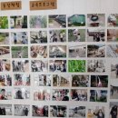 이수야 농장 이미지