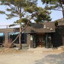 서대산약초