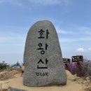 2025년4월2주(13일) 창녕 &#34;화왕산&#34; 진달래 산행안내 이미지