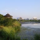 와스타디움 이미지