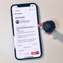 코오롱쌍둥이부동산중개 | 남매방 방분리 고민, 부동산 가기 전 직방 아파트부터 봤어요