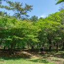 절물자연휴양림 이미지