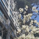 로이공인중개사사무소 이미지