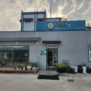 단월애