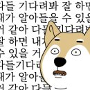본동물메디컬센터 24시수성점 네이버블로그