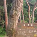 노적봉 도당지 이미지