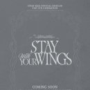 스테이ㅎ 이미지