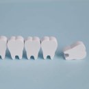 돼지나라 이미지