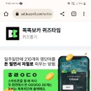 쬐끔 살살) 버즈빌퀴즈 이미지