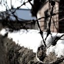 시골풍경 이미지