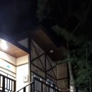 고란길(길안면) 네이버블로그