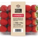 팜 이미지