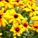 수입리민박 이미지