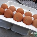 민들레양계장 이미지