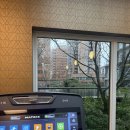 TEAM 1st SHOW ROOM | 밴쿠버 어학연수 후기 | 18주차 | Victoria🇨🇦