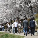 공지천 산책로 이미지