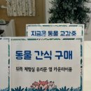 마리앤쥬(ZOO) | 대전 아이와 갈만한 곳 둔산동 실내동물원 마리앤쥬(Zoo) 대전점(내돈내산)