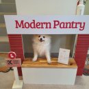 카페모던 이미지