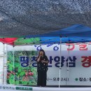 장평전통시장 이미지