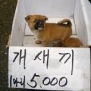 인 이미지