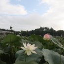 주천중학교 이미지