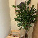 개정노형점 이미지