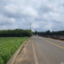 백서 태양광발전소 이미지