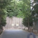 플러스에젤 이미지