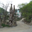 괴목민박 이미지