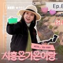 [🎥] 시흥은가은이랑 ep.8 시흥갯골캠핑장 이미지