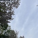 동남목장 | 명소 '각원사' &amp; 눈물의 여왕 촬영지 배나무 숲 명소 '배나무 숲 카페', '동민 목장' 26.4/18~19 기준