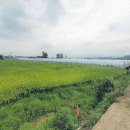 대산면908 이미지