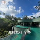 하룸 | 발리 여행 가볼만한곳 크레트야 우붓 + 알라스하룸 후기