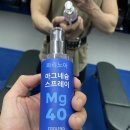 노아 PC | 운동 전,후 뻐근할 때 시원하게, 파리노아 마그네슘 스프레이 사용 후기