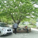 하노마을회관 이미지