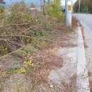 석불슈퍼 이미지