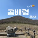 곰배령 | 페어플레이 버스 타고 - 곰배령 트레킹 (ft. 산림청 예약 필수)