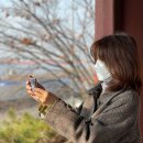 웨스트빌 피자 이미지