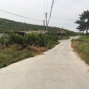 블루베리사슴농장 이미지