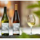 (주)신세계 강남점(법인영업팀) | 회사 행사 하객선물 고민하다가 발견한 ‘신세계엘앤비 와인 기업특판’ 후기