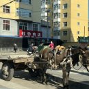 당나귀호스텔 이미지