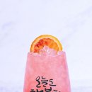 병곡 Daum카페